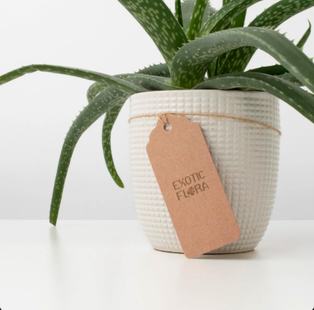 Etiqueta de producto Exotic Flora